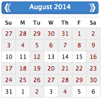 Calendar widget screenshot